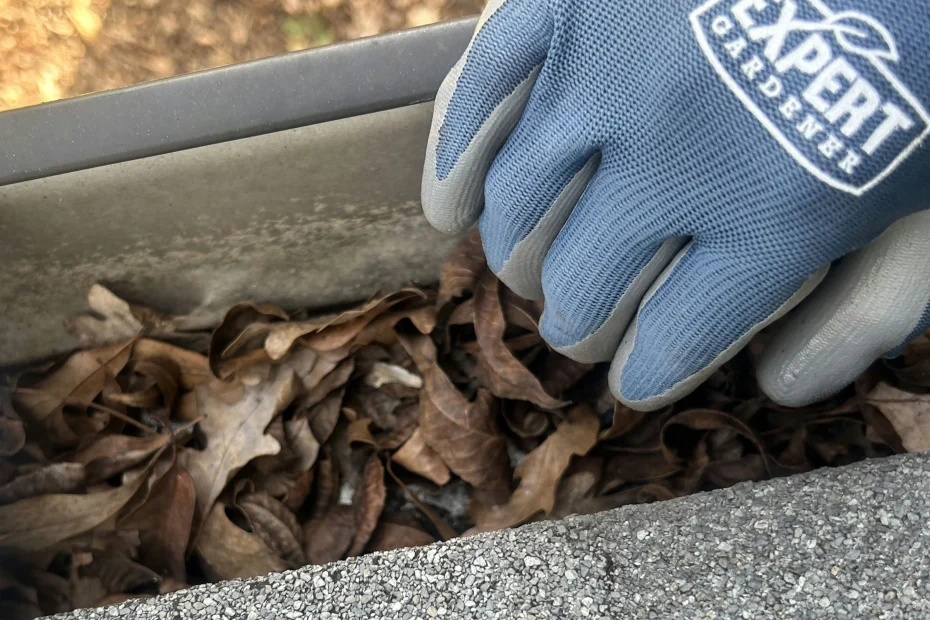 Gutter Cleaning Jonesboro AR